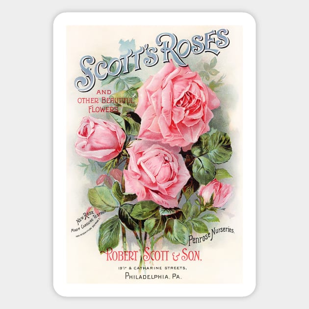 Scott's Roses, Seed Catalogue Sticker by WAITE-SMITH VINTAGE ART